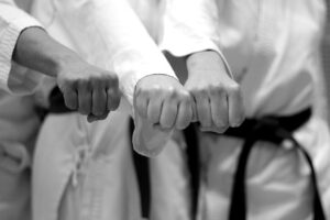 karate, battle, fist, black belt, sports, training, women, monochrome, karate, karate, karate, karate, karate, black belt, black belt
